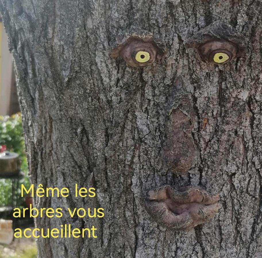 Robion en Luberon La Fee Viviane Et Michel L'Enchanteur المظهر الخارجي الصورة