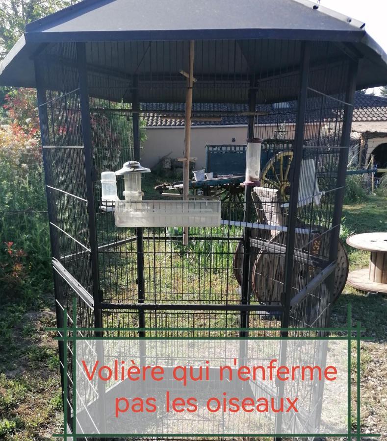 Robion en Luberon La Fee Viviane Et Michel L'Enchanteur المظهر الخارجي الصورة