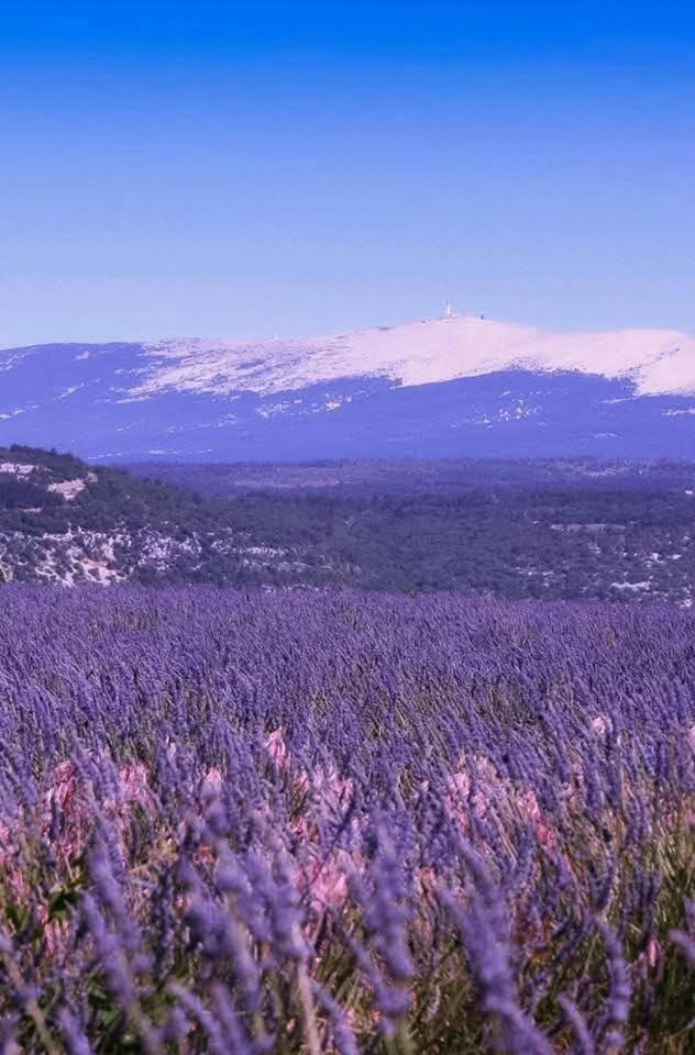 Robion en Luberon La Fee Viviane Et Michel L'Enchanteur المظهر الخارجي الصورة